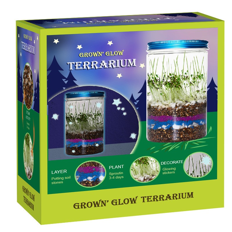 Science Nursery - Indoor Planting Children's Fun Plant Box