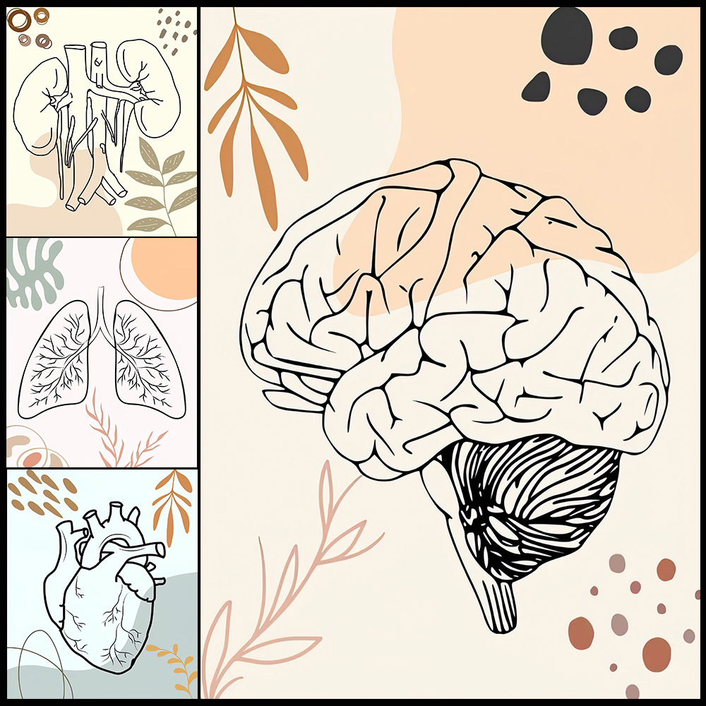 Science Nursery - Human Anatomy Science Brain Nursery Biology