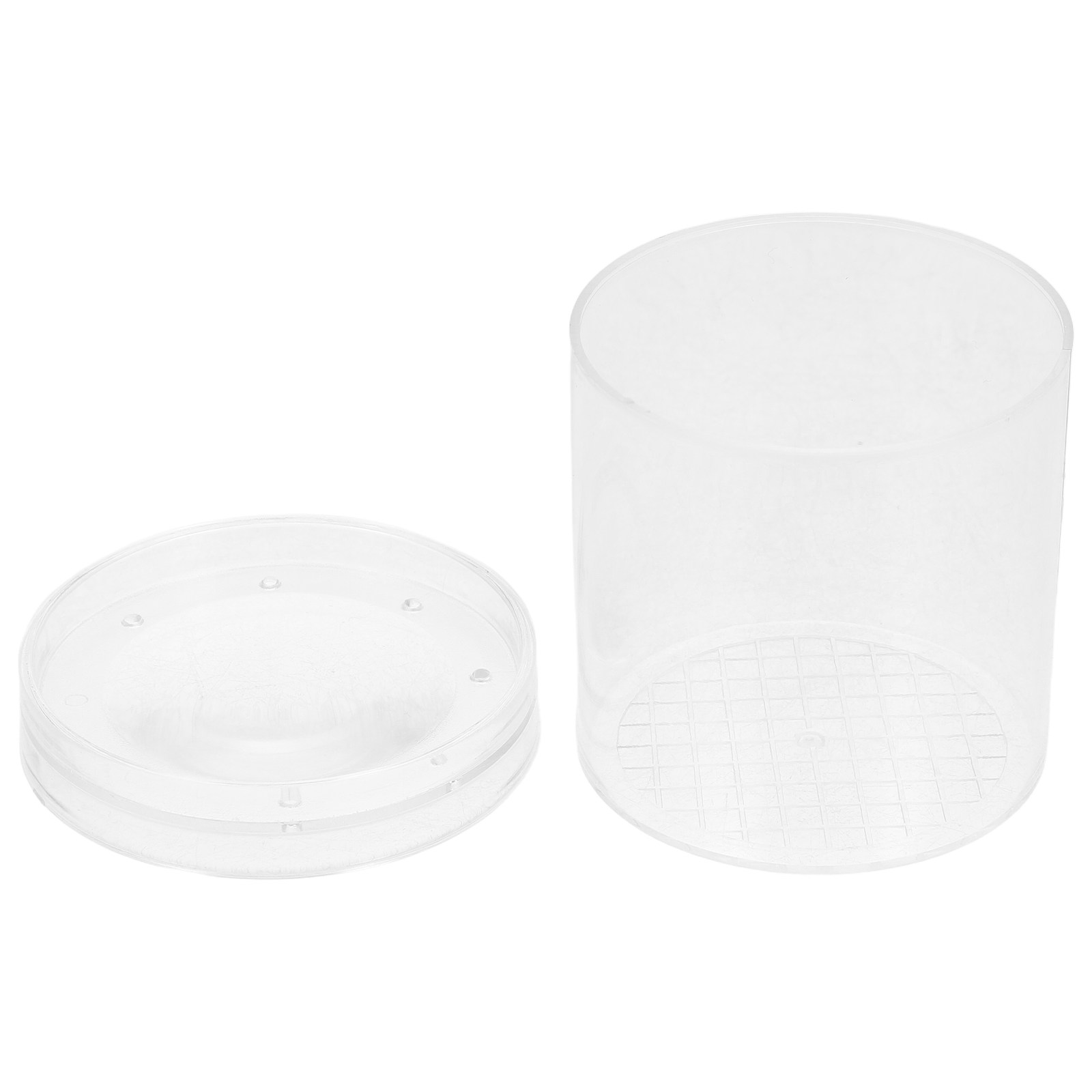 Science Toy - 3X Magnifying Insect Observation Box Kids