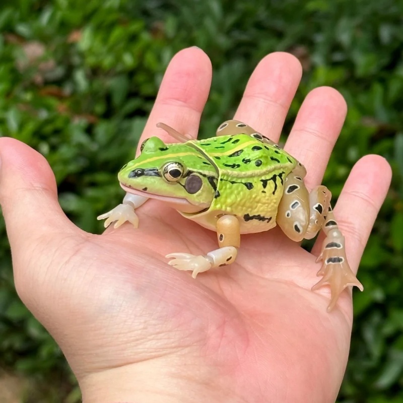 Science Toy - BANDAI Official Realistic Black-Spotted Frog Gashapon