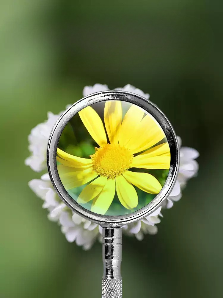 10X 20X Handheld Magnifying Gl - Science And Hobby recension och pris