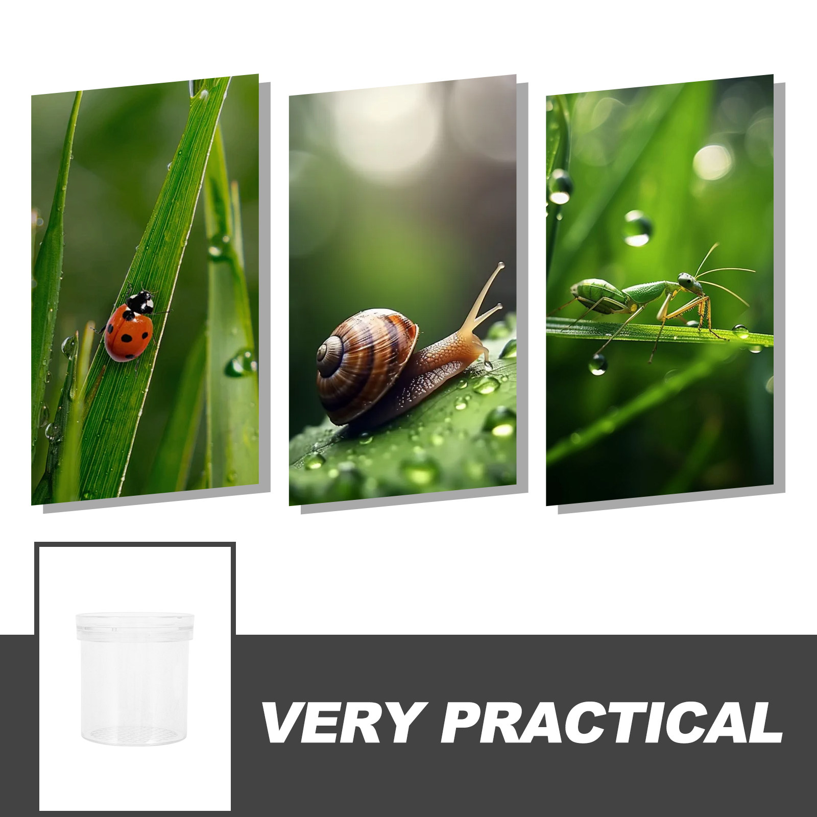 3X Magnifying Insect Observati - Science Toy recension och pris