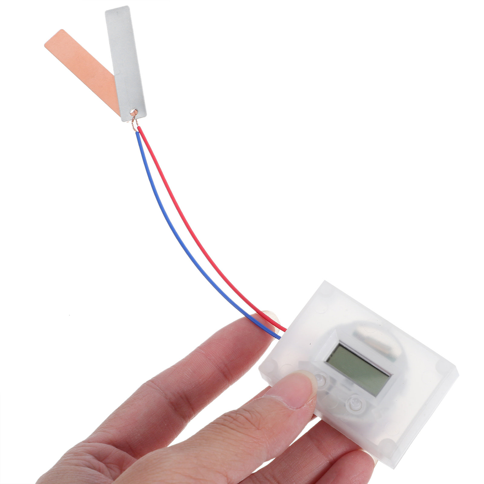 1Set Fruit Battery Experiment  - Science Project Physics recension och pris
