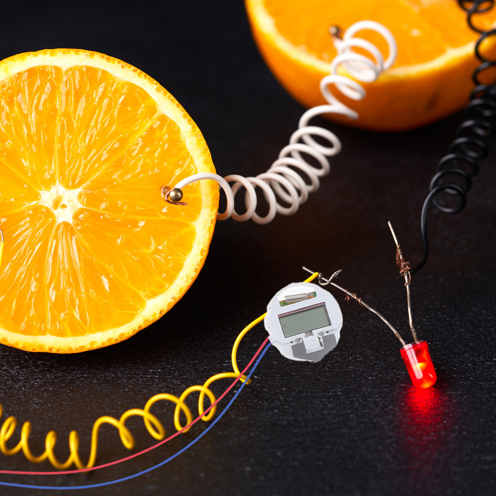 1Set Fruit Battery Experiment  - Science Project Physics recension och pris