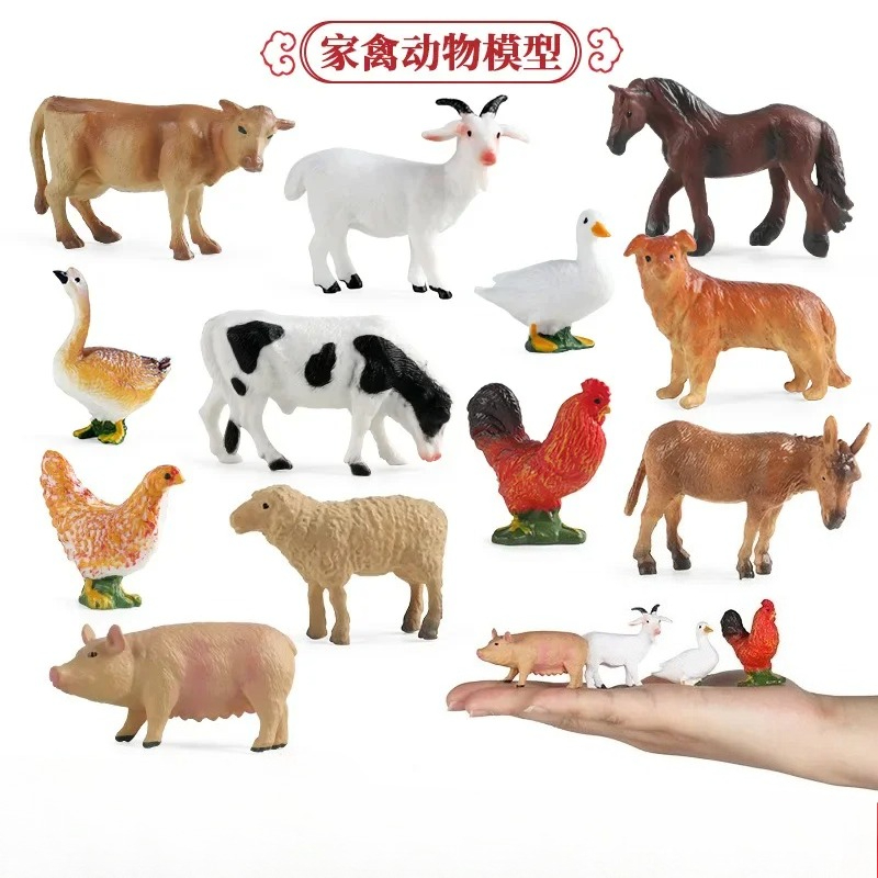 Education Teaching Tool Poultr - Science Toy recension och pris