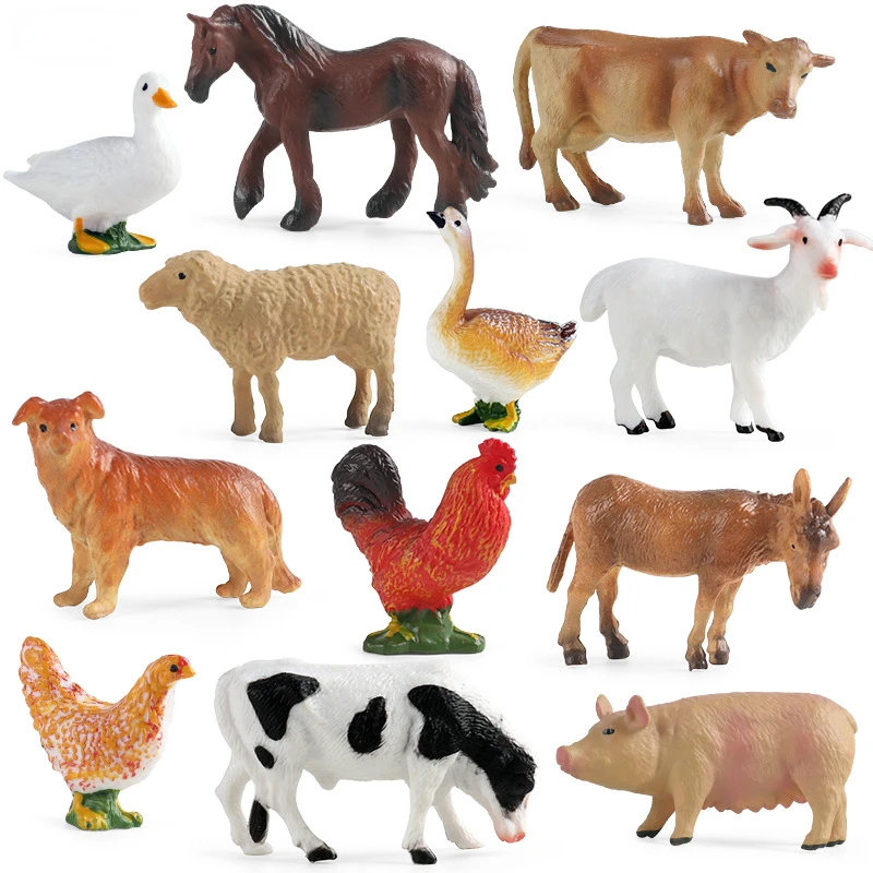Education Teaching Tool Poultr - Science Toy recension och pris